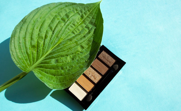 在化妆品旁边的蓝色背景上，圆圆的绿叶上有雨滴图片下载