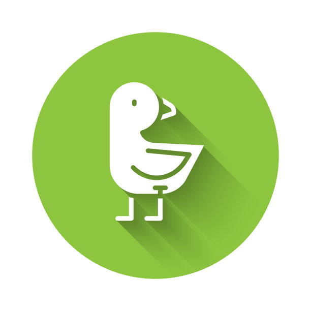 白色的小鸡图标与长影子孤立图片下载