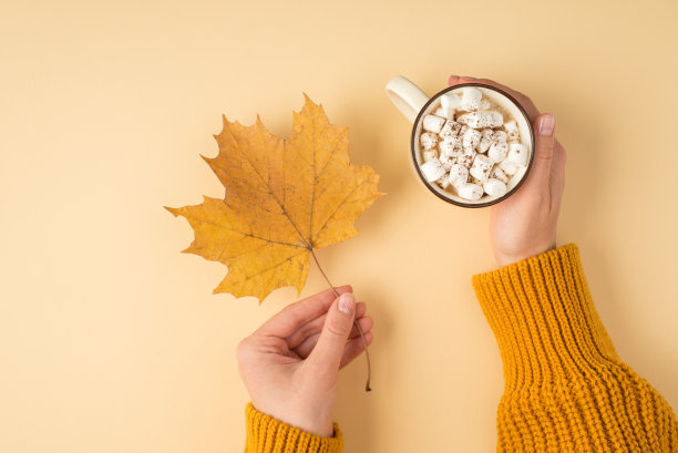 第一人称照片的女性手在黄色套头衫拿着黄色的秋天枫叶和一杯饮料与棉花糖孤立的浅橙色背景图片下载