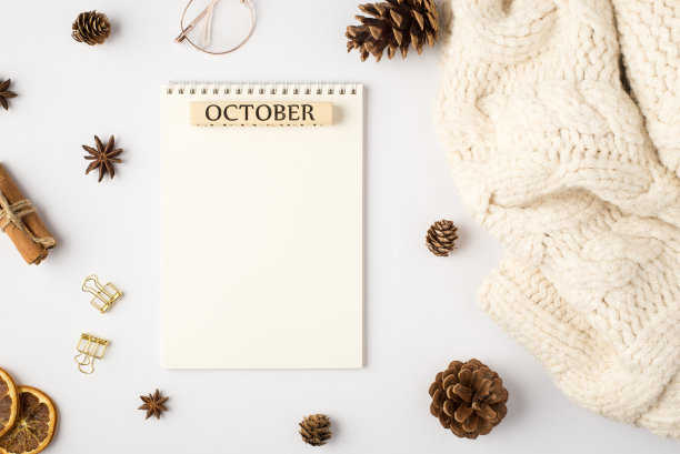 顶部视图照片，白色围巾笔记本题词10月松果干柠檬片肉桂棒金色的夹子和时尚的眼镜孤立的白色背景与空白图片下载