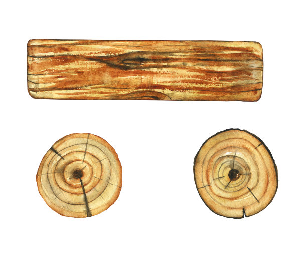 木制材料元素被隔离在白色背景上。木板，锯子，树干，木材。水彩手绘插图。图片下载