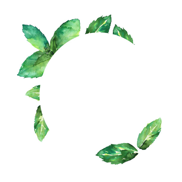 框架与薄荷叶孤立在白色背景。薄荷植物水彩手绘插图。完美的海报，旗帜，印刷，夏季食品装饰，或草药。图片下载