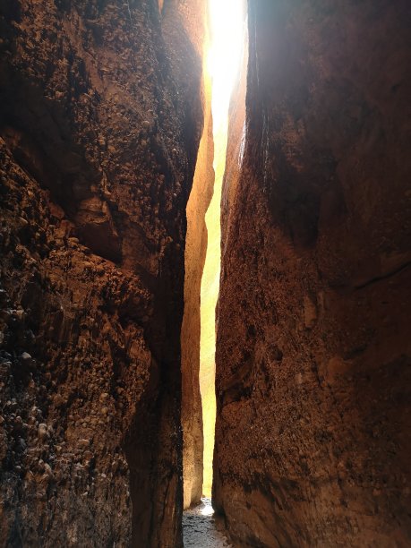 针鼹裂口的光线，笨手笨脚的图片下载