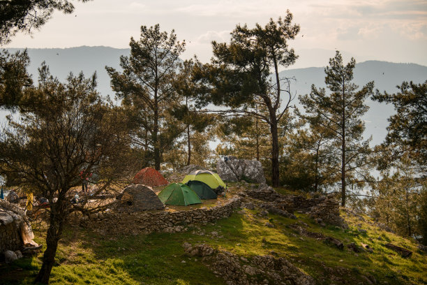 美丽的帐篷营地停在松树旁图片下载