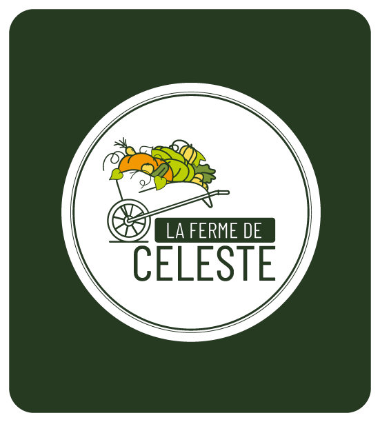 市场园艺标识、有机蔬菜生产标识、天然蔬菜品种标识、农贸市场标识、直销标识、图片下载