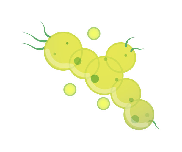 细菌微生物分离在白色背景图片下载