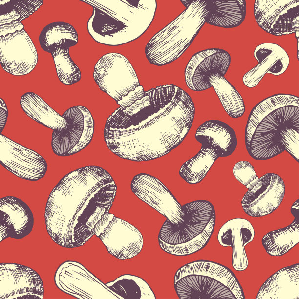 香菇鲜美多彩图片下载