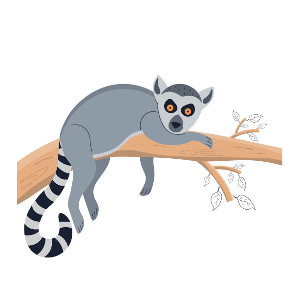 狐猴躺在树上的动物性格图片下载