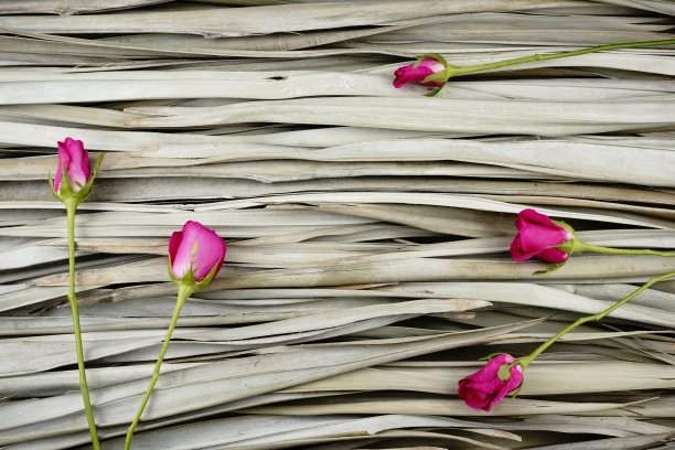 粉红玫瑰创意平铺在干棕榈叶的背景上，有机摄影。图片下载