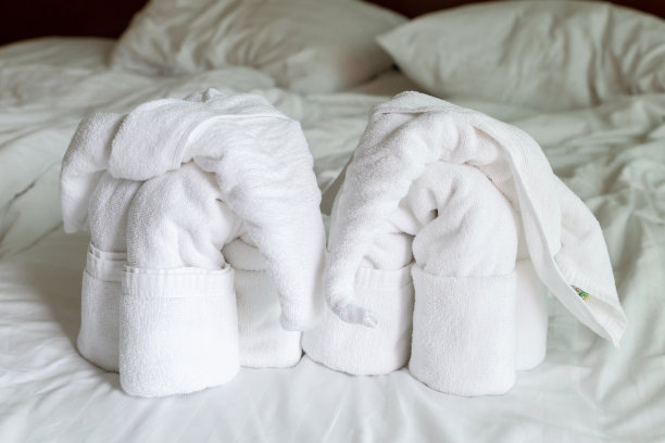 在泰国的一家酒店里，毛巾上的几个数字和大象打招呼图片下载