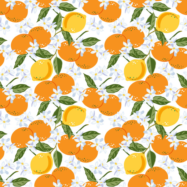 柑橘，无缝的背景与柑橘水果和鲜花。矢量插图的橘子和开花。图片下载