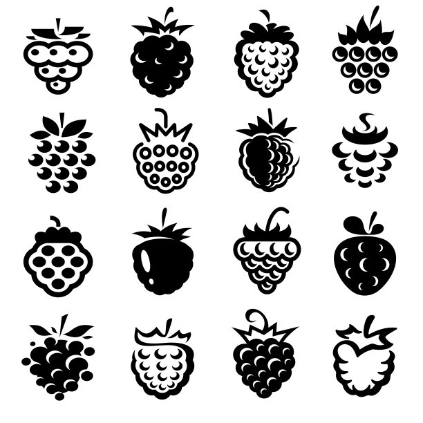 树莓。收藏图标覆盆子。向量图片下载