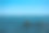 海鸥和美丽的海景图片下载