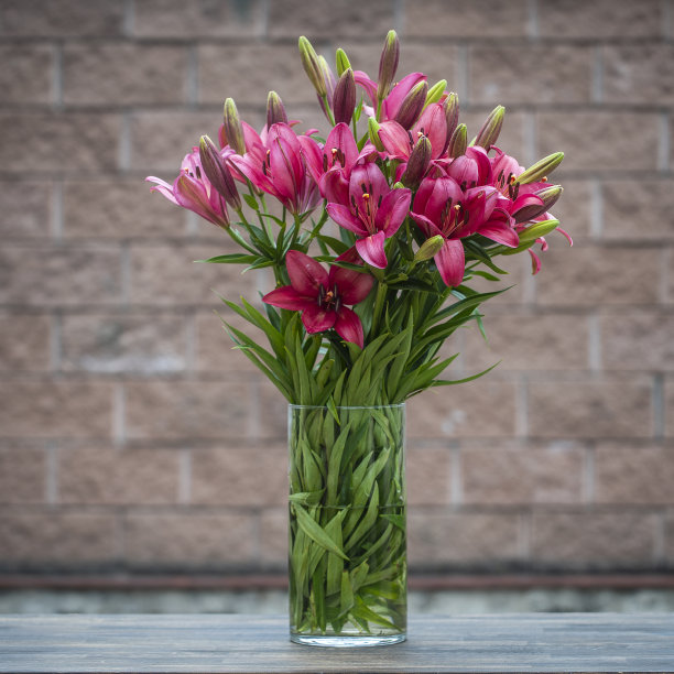 美丽的红色百合花束在一个花瓶在院子里，乌克兰，关闭图片下载