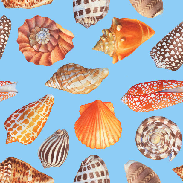 无缝的图案与水下生物-橙色和棕色的海贝壳，海星。水彩手绘插图孤立在蓝色背景。图片下载
