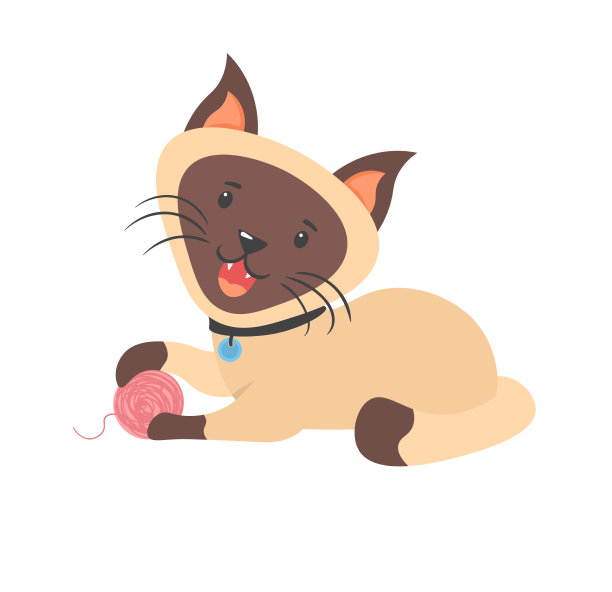 可爱有趣的宠物，小猫和猫的角色图片下载