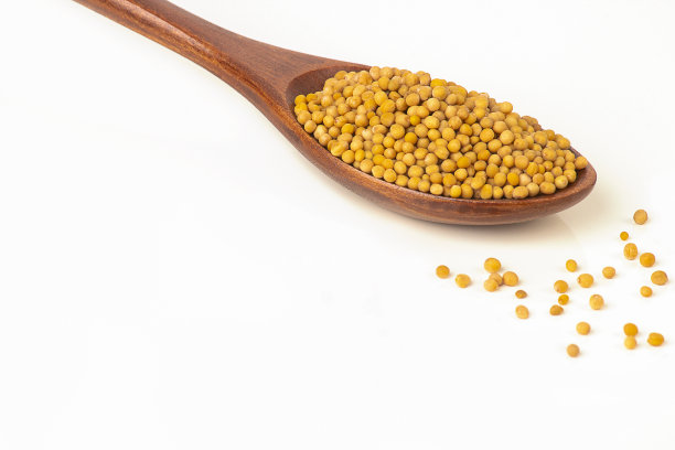 芥末种子勺在白色背景，俯视图，超级食品概念与复制空间。图片下载