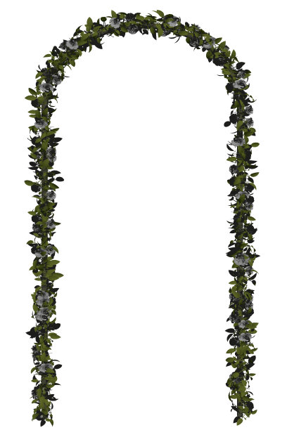 拱形从花朵孤立在白色的背景。3 d。矢量图图片下载