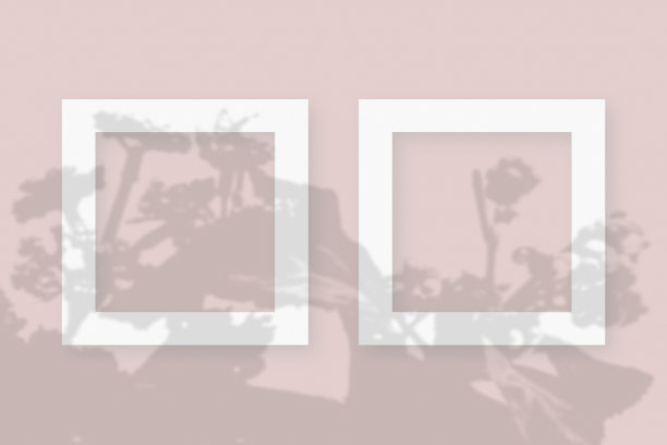 模型与植物阴影叠加在2个方形框架纹理的白纸在粉红色的桌子背景图片下载