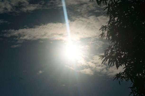 早晨的太阳图片下载