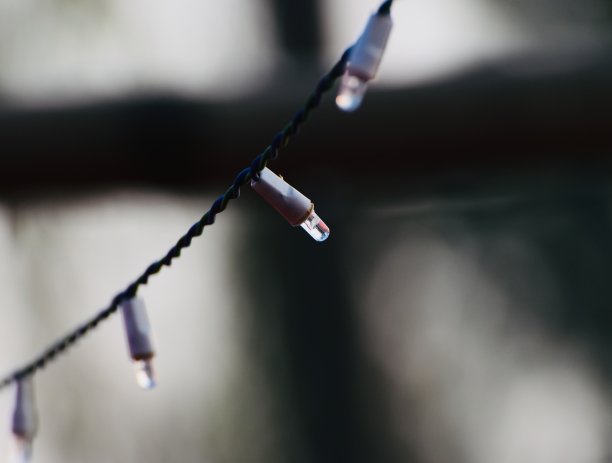 小灯泡装饰独特的照片图片下载