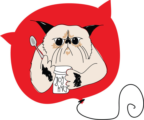 正在吃零食的坏脾气猫图片下载