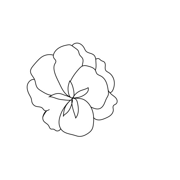 夏日花园盛开的花朵单色写生图片下载