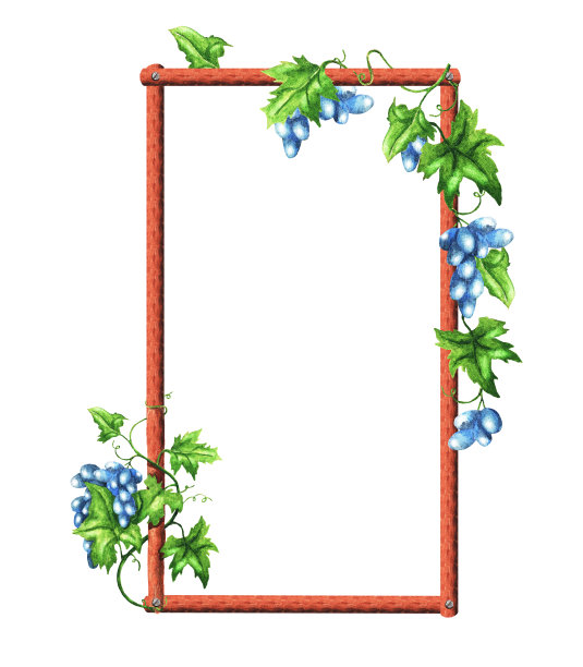 串葡萄。框架。水彩(2)图片下载