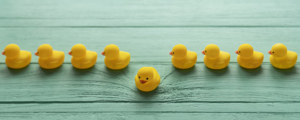 一队黄色小鸭有秩序地前进，一只小鸭脱离队伍，在绿松石色木纹背景上追寻自己的方向图片下载