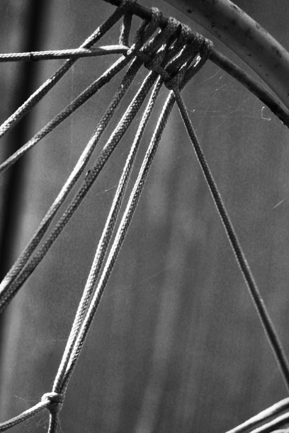 篮球希望图片下载