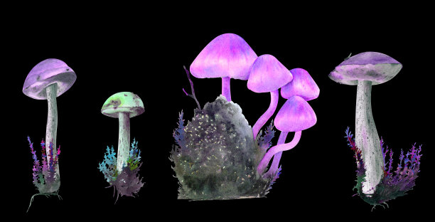 五颜六色的神奇蘑菇，形状各异，闪闪发光图片下载
