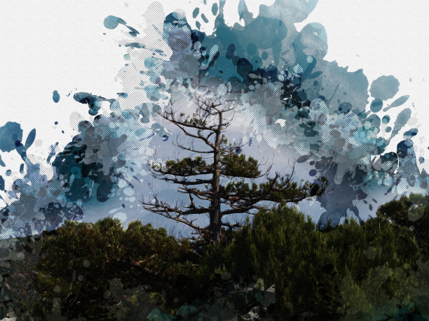 数字水彩画。山坡上一棵孤零零的干松树。夏天的时间。温暖的阳光明媚的日子。抽象的壁纸。图片下载