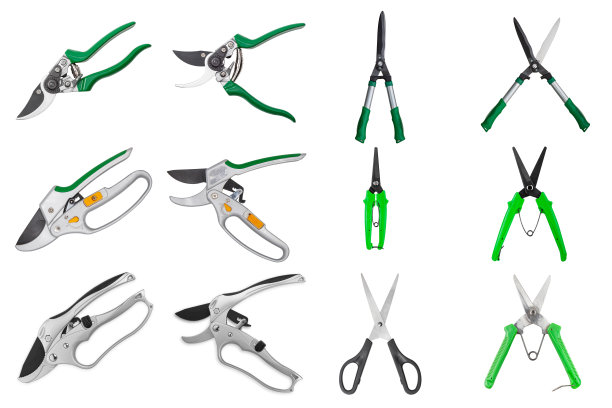 一套花园剪刀孤立在白色图片下载