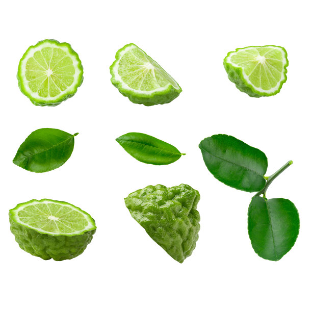 佛手柑果实，白色背景下的佛手柑。图片下载