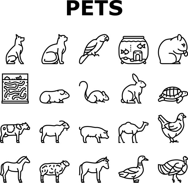 宠物家养动物收集图标设置图片下载