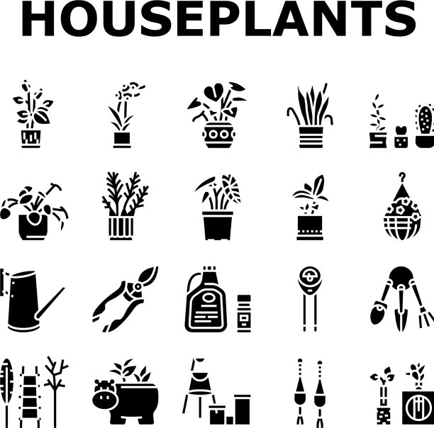 室内植物商店出售收集图标集图片下载