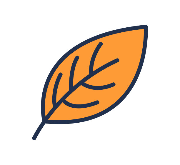 橙叶图标。学校图标的概念。图片下载