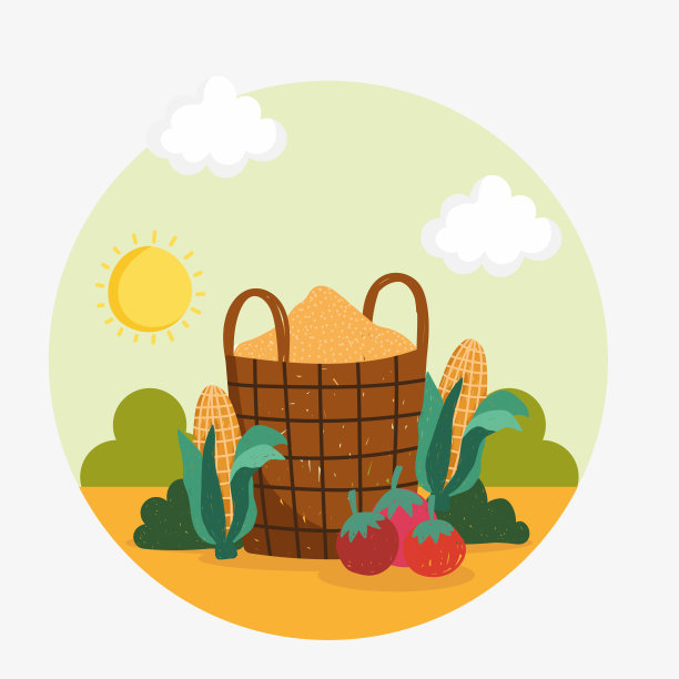 有机食品的玉米图片下载