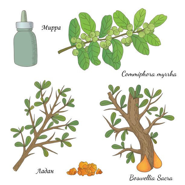 Ladan和Mirra-02图片下载