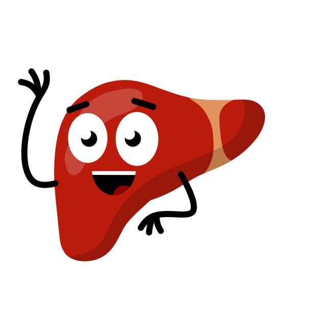 健康的肝脏。情绪在性格的脸上。人体器官健康状况的比较。有趣的平面卡通图片下载