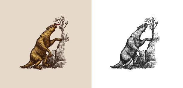 地懒或大懒科。史前哺乳动物。已经灭绝的动物。复古复古矢量插图。涂鸦风格。手绘雕刻草图图片下载