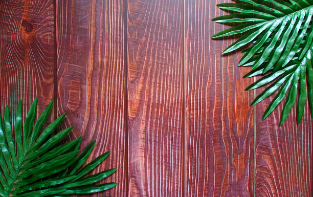 垂直间隔的深棕色木板背景在图像的右上角和左下角有明显的木纹图案和蕨类树叶。与复制空间。图片下载