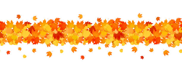 装饰秋天横幅线与橙色的叶子。图片下载