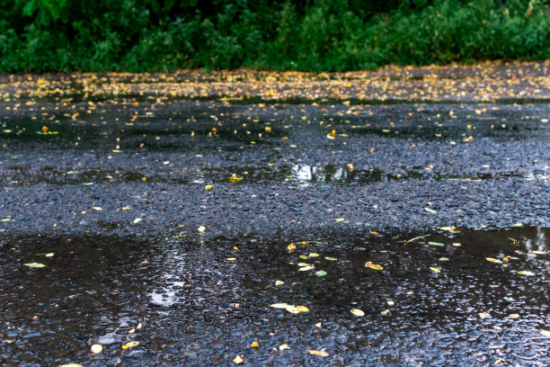 小黄的秋叶覆盖着雨后潮湿的沥青和水坑。秋雨过后，地上的叶子又湿又亮。图片下载
