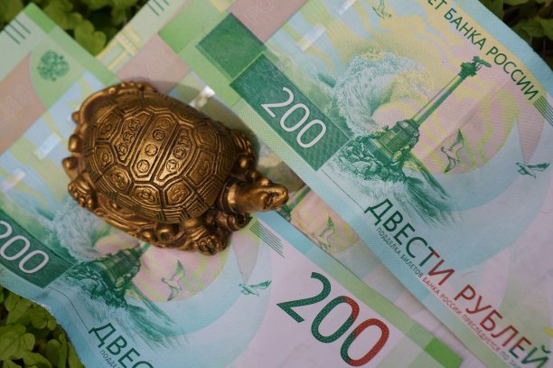 印在钞票上的金属海龟雕像。图片下载