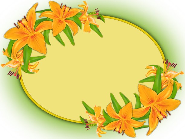 在黄色的椭圆形框架里有一束橙色的百合图片下载