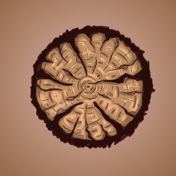 棕与世隔绝木图片下载