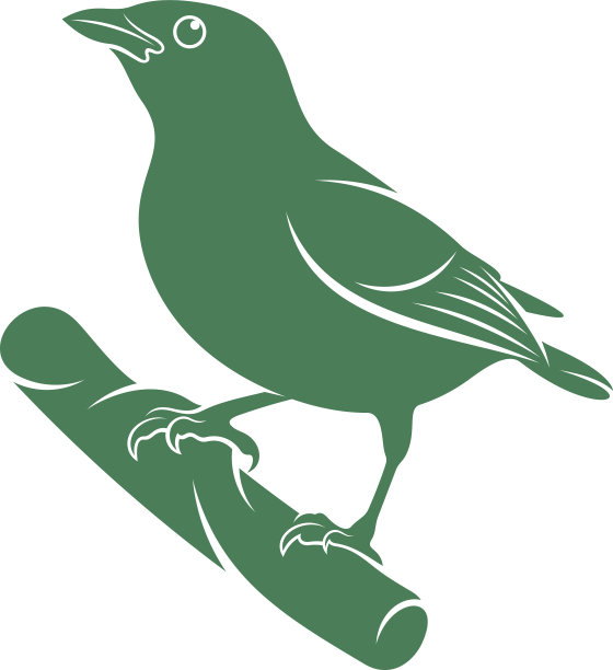 阿马雷拉鸟阿马雷拉图片下载