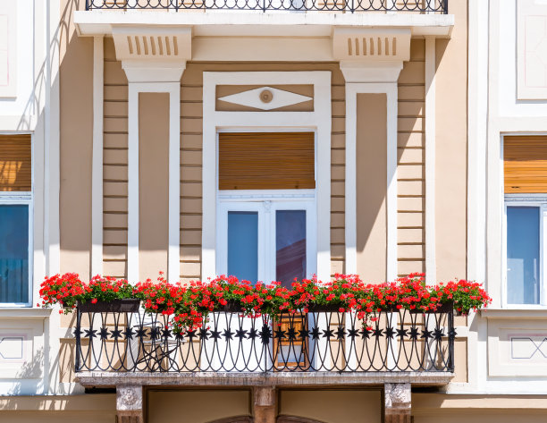 罗马尼亚蒂米什瓦拉市中心一幢新修复的旧建筑的建筑细节。图片下载