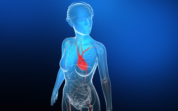 三维插图的女性内部解剖黑色梯度背景。图片下载